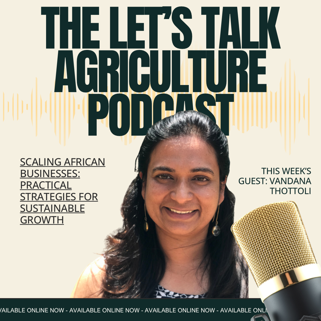 116: Scaling African Businesses: Beyond Growth with Vandana Thottoli